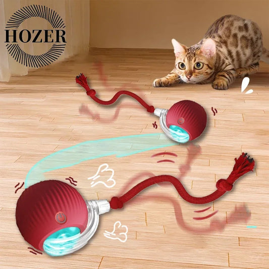 2Pcs Cat Interactive Ball Toys Automatic Rolling Ball