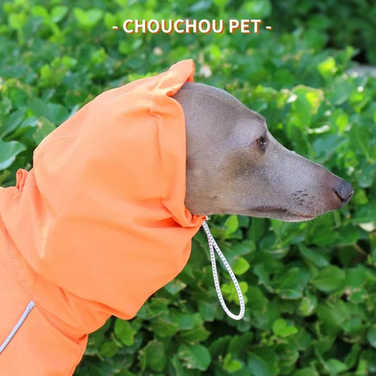 Italian Greyhound Raincoat Autumn and Winter Outdoor Pet Jacket Whippet Windproof and Rainproof Dog Clothes