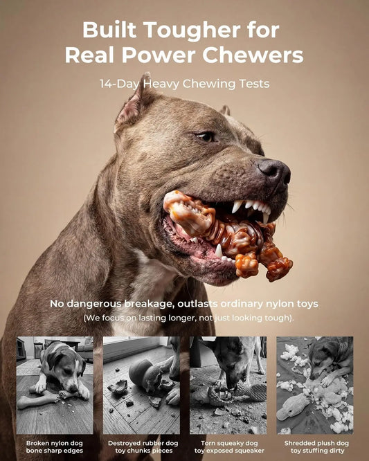 2 Pack Ultra-Dense Nylon Dog Chew Toys for Aggressive Chewers, Bacon Flavor, Long Lasting for Large Dogs 20-90 lbs