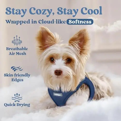 Soft mesh harness for small dogs, safety buckle, reflective, navy blue.