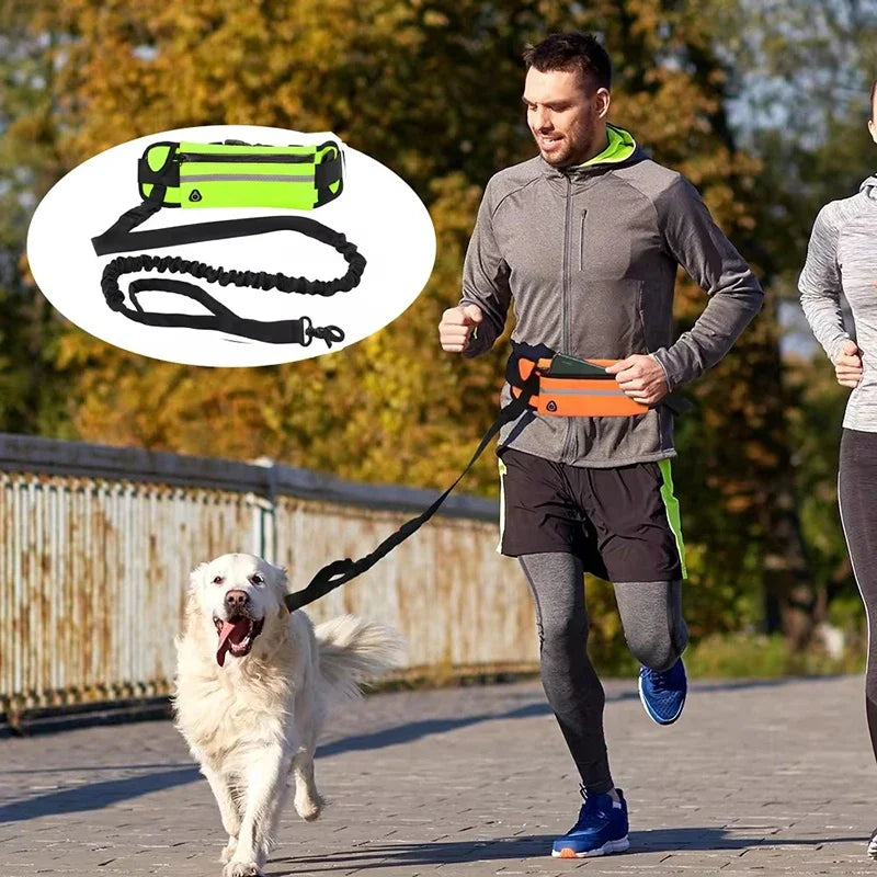 Hands Free Dog Leash for Running Walking Reflective Leash with Waist Bag