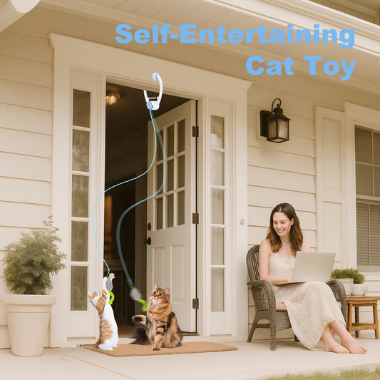 Electric Door Hanging Cat Toy Interactive Cat Toy