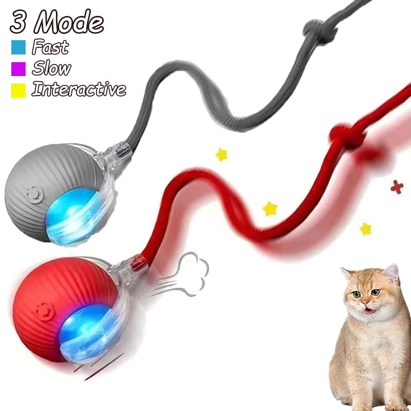 2Pcs Cat Interactive Ball Toys Automatic Rolling Ball