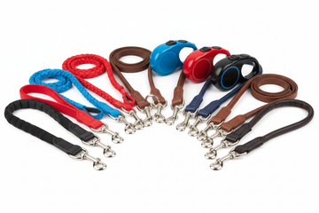 Leashes