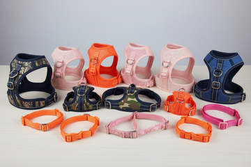 Harnesses