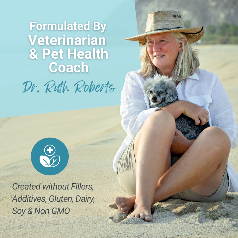 Hista Paws – with Quercetin for Dogs and Cats