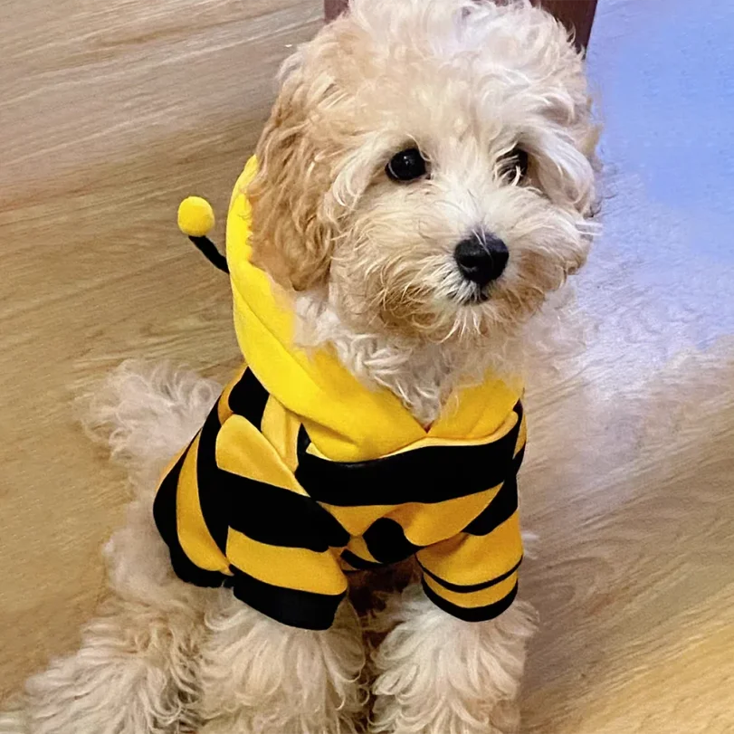 Bee Pet Puppy Coat / Halloween Hoodies Holiday Outfit for Small Medium Dogs & Cats