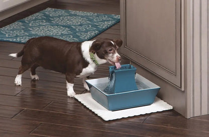 Ceramic Pet Water Fountain with Dual Streams, Elevated Bowl, 70 oz Capacity for Cats and Dogs