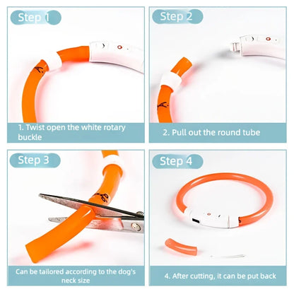New LED Dog Collar USB Rechargeable，