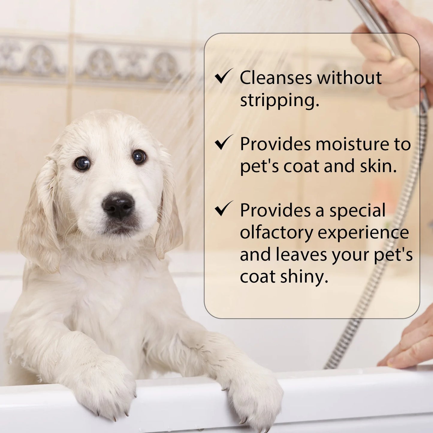YEGBONG Dog Wash Shampoo: Flea & Mite Killer