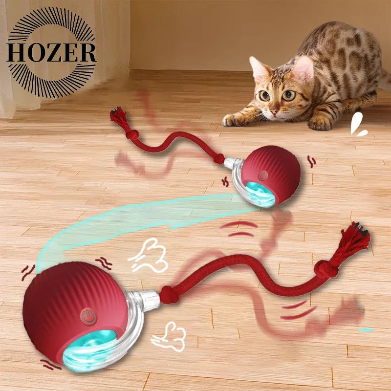 2Pcs Cat Interactive Ball Toys Automatic Rolling Ball