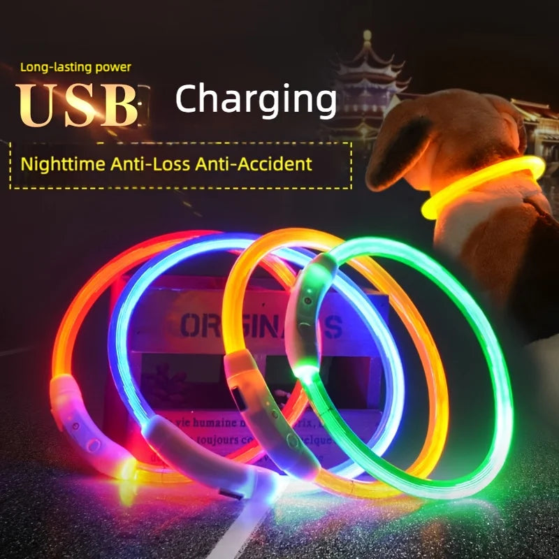 New LED Dog Collar USB Rechargeable，