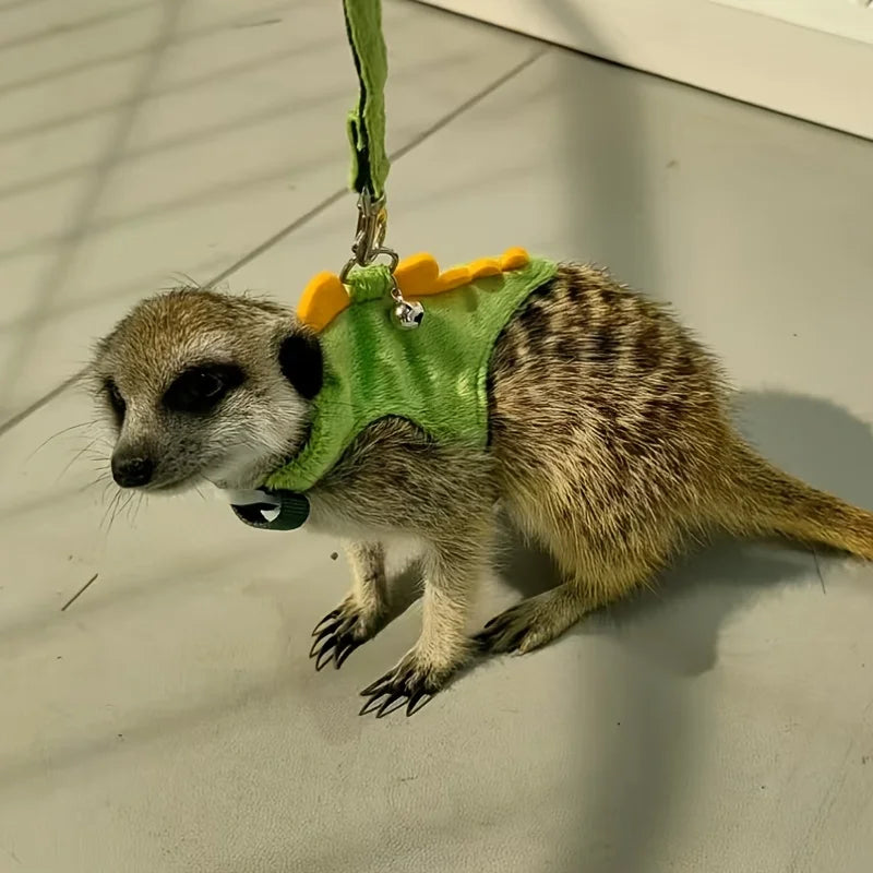 Ferret Lead Rope Vest Type. Adjustable Pet Rope Cute Dinosaur Shape with Bell for Walking Mice