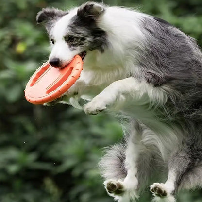 Flying Disc Dog Training Toy