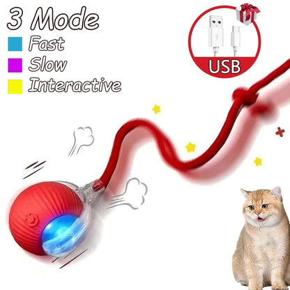 2Pcs Cat Interactive Ball Toys Automatic Rolling Ball