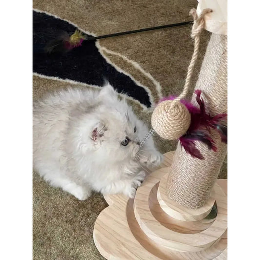 Cat Scratching Post with Teaser Wand. This will keep your cat busy for hours.