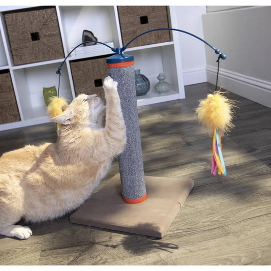 Scratch N Spin Carpet Cat Scratching Post
