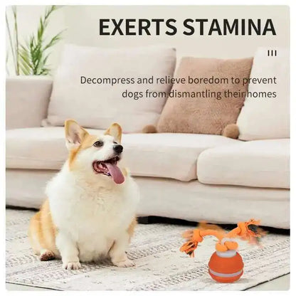 Smart Dog Toys Interactive Teasing Ball Motion Activated