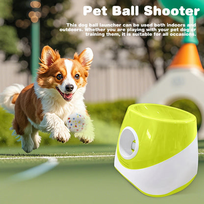Interactive Automatic Ball Launcher with 3 Tennis Balls Ball