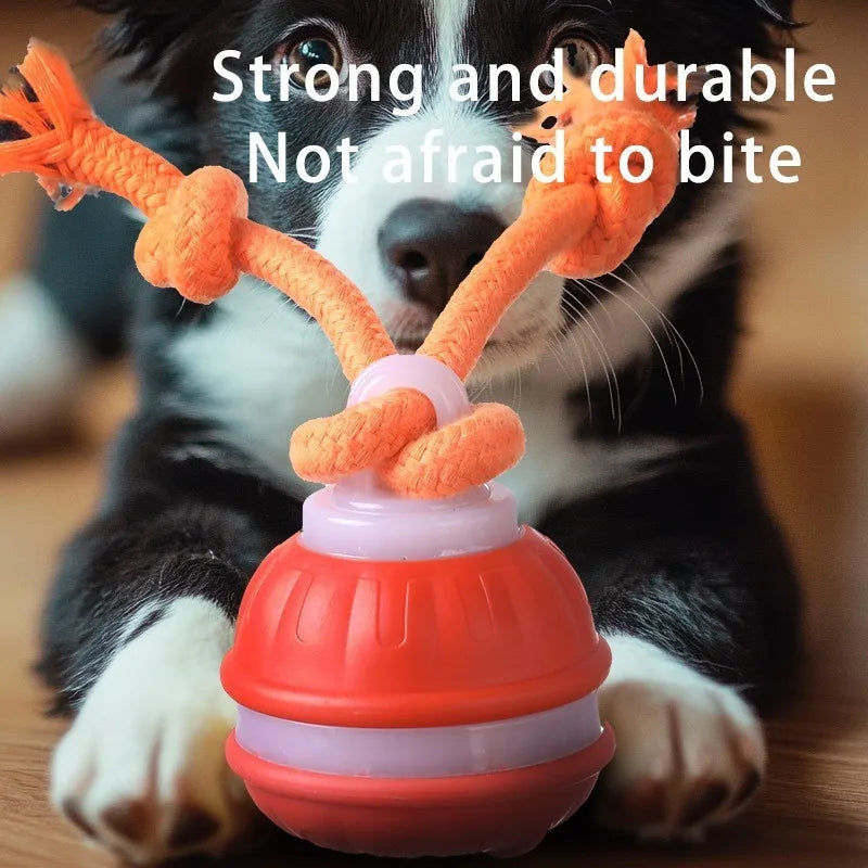 Smart Dog Toys Interactive Teasing Ball Motion Activated