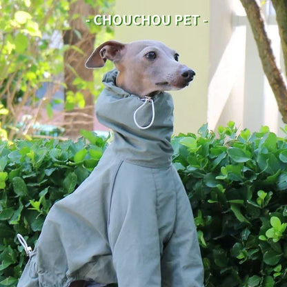 Italian Greyhound Raincoat Autumn and Winter Outdoor Pet Jacket Whippet Windproof and Rainproof Dog Clothes