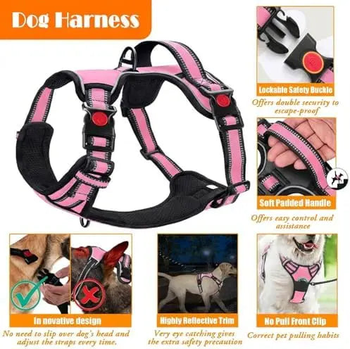 Training Kit for Dogs: LOBEVE No Pull Harness with Collar & Leash Set