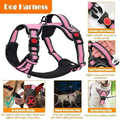 Training Kit for Dogs: LOBEVE No Pull Harness with Collar & Leash Set