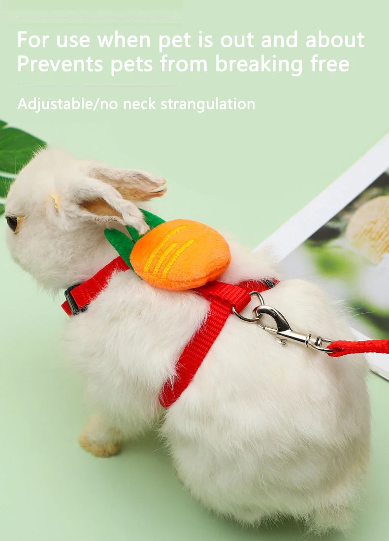 Rabbit Cat Harness and Leash Set