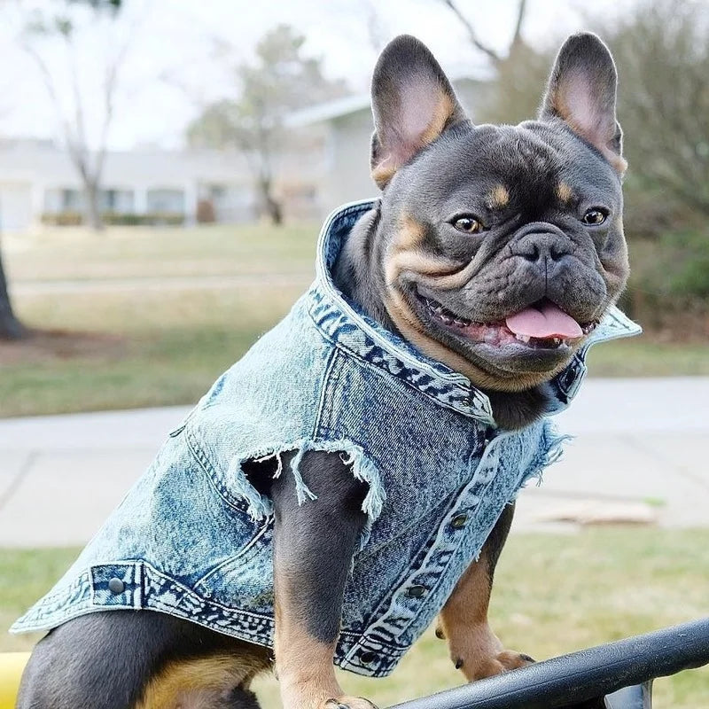 Pet Dog Jeans Jacket Denim Coats Holes