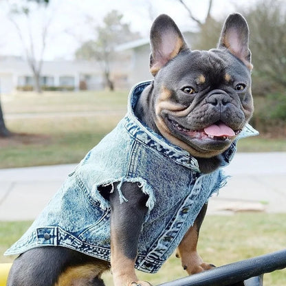 Pet Dog Jeans Jacket Denim Coats Holes
