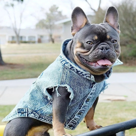 Pet Dog Jeans Jacket Denim Coats Holes
