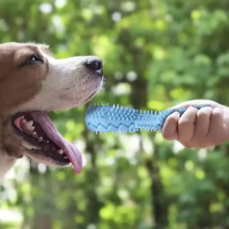 Puppy Teething Toy Dog Chew Stick Bite Resistant Leak Proof Food Dispenser