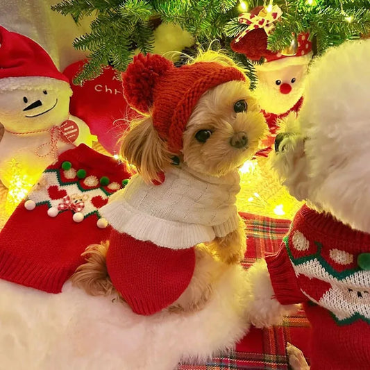 Pet Knitted Dog Hat. Suitable for Small and Medium Dogs and Cats