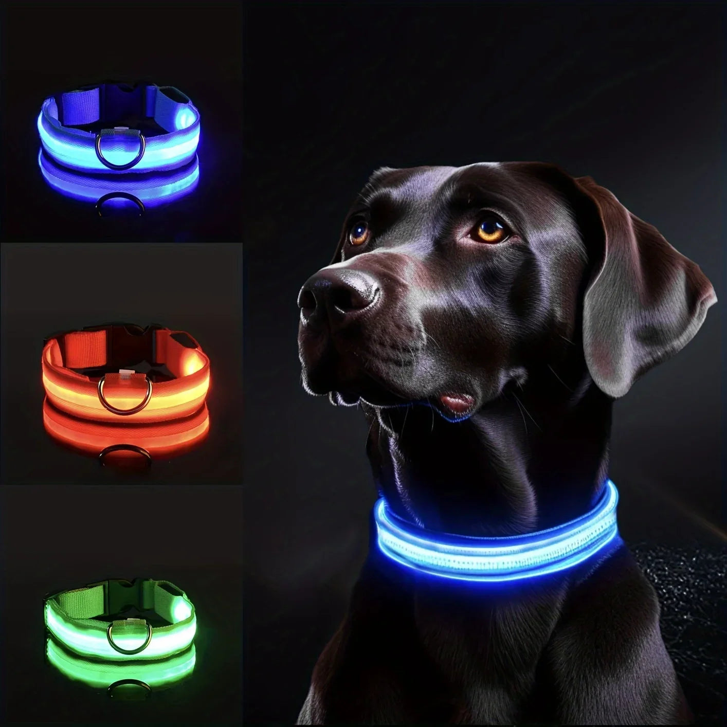 Reflective LED Dog Collar for Night Safety -