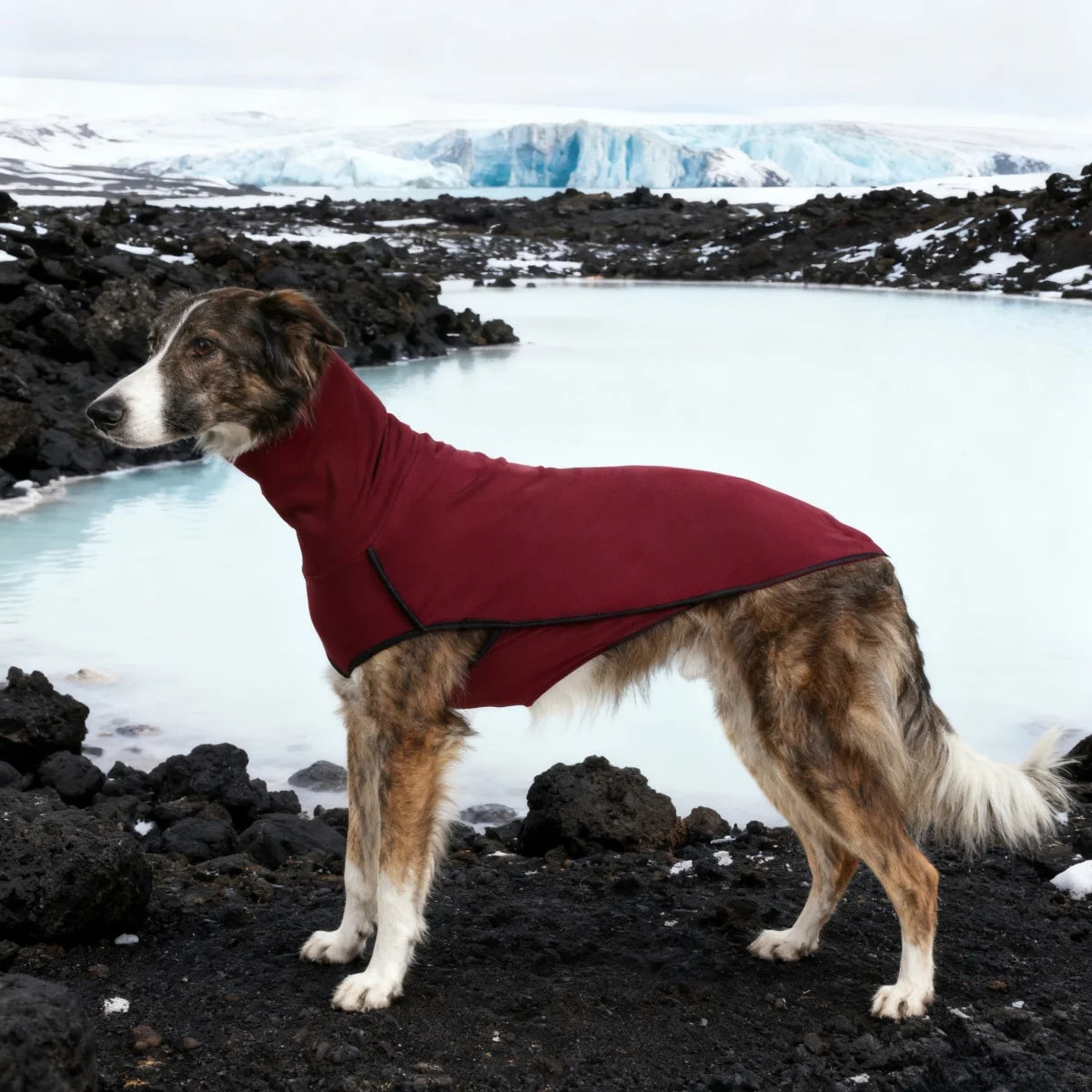 Dog Winter Coat Pajamas Onesies