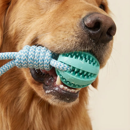Cotton Rope & Rubber Dog Chew Ball and Treat Dispenser Toy.