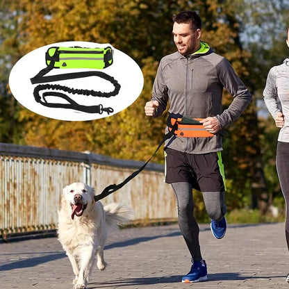 Hands Free Dog Leash for Running Walking Reflective Leash with Waist Bag