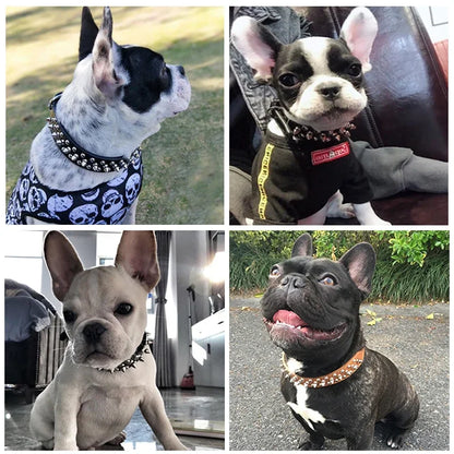 Adjustable Leather Pet Dog Collar Neck Strap. Leather Punk Rivet Spiked Dog Collar Pet Collars for Small Dog Cat