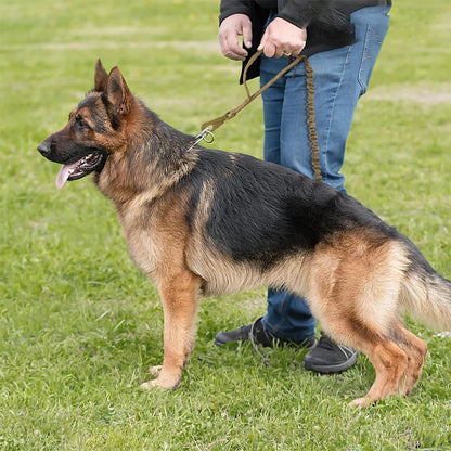 Military Dog Leashes. Adjustable Leash with Quick Release Elastic Rope,