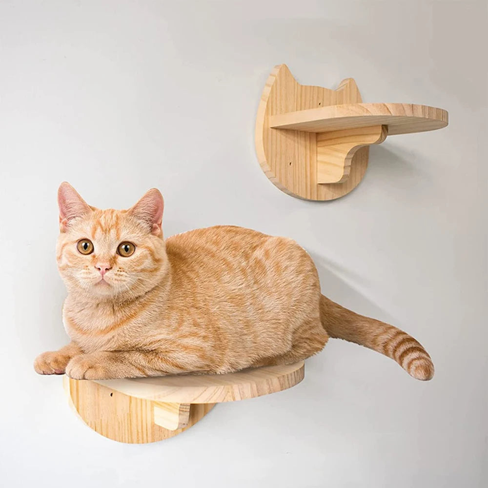 Cat Climbing Shelf with Wall Mounted Four Step Stairway.