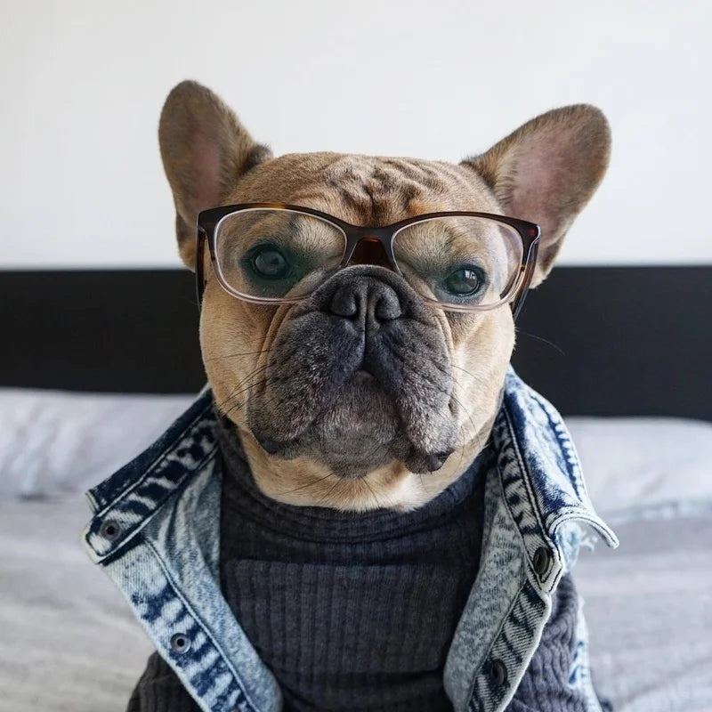 Pet Dog Jeans Jacket Denim Coats Holes