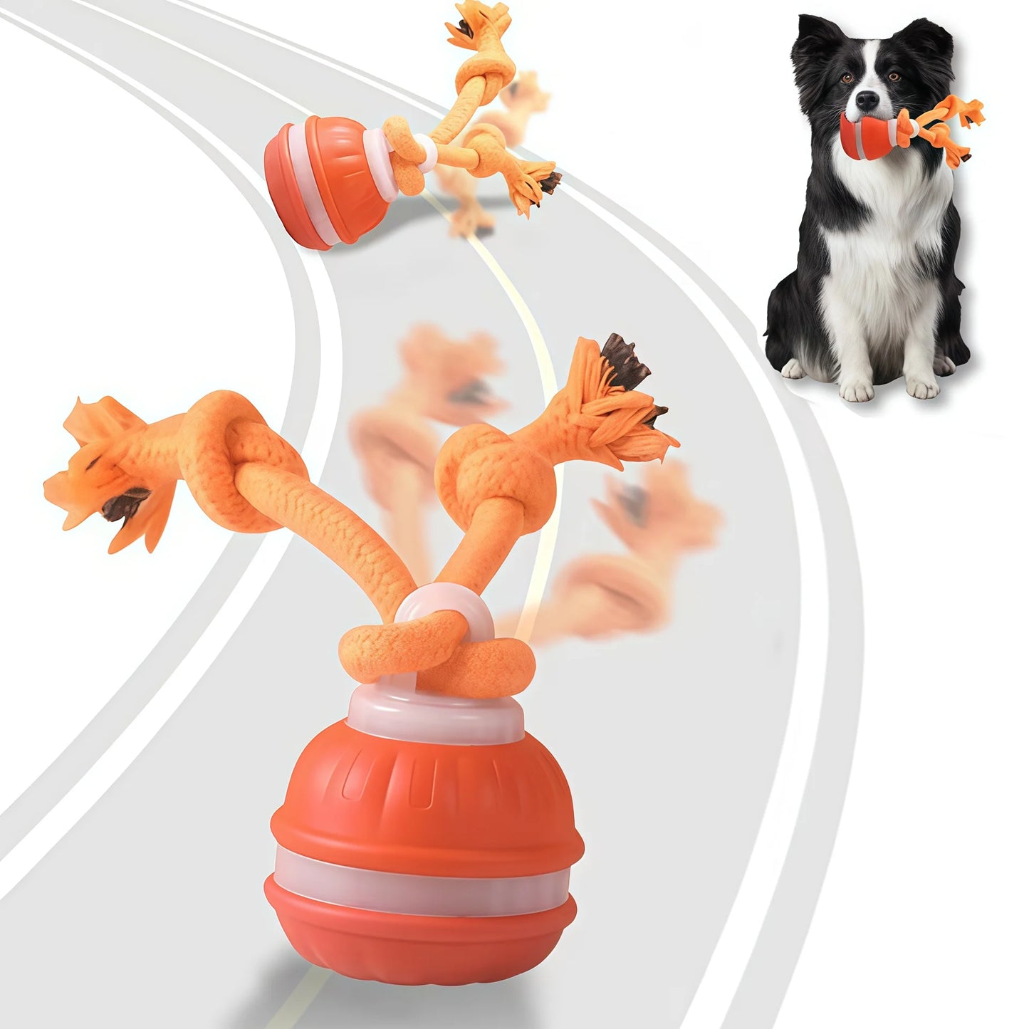 Smart Dog Toys Interactive Teasing Ball With Motion Activated Automatic Moving Squeaky Dog Toy Balls Puppy Chew Toys Knot Rope