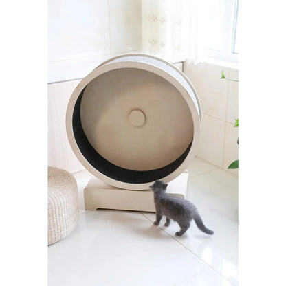 Exercise Wheel – Run Scratchers for Cats