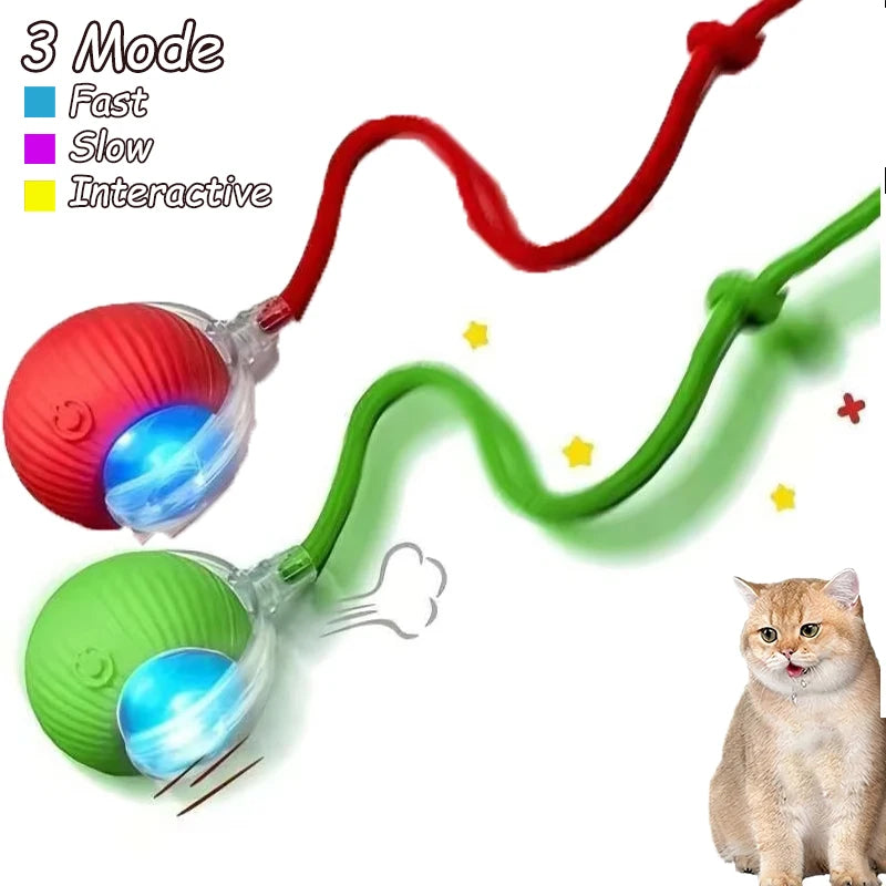 2Pcs Cat Interactive Ball Toys Automatic Rolling Ball