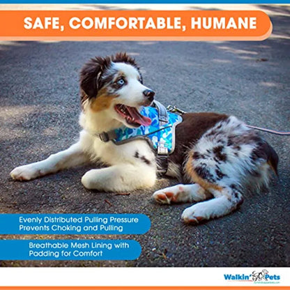 Walkin Warrior No Pull Dog Harness