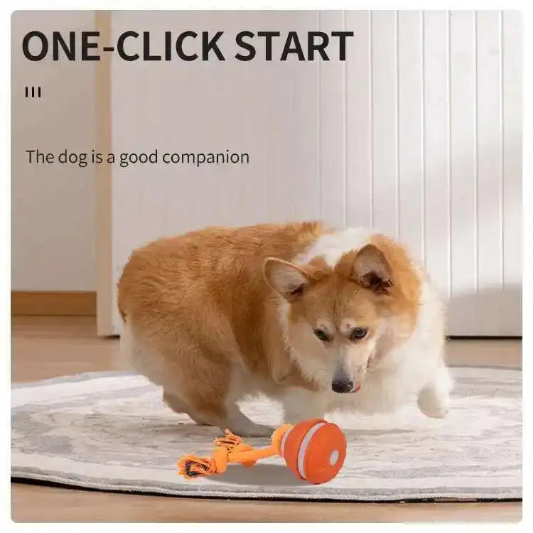 Smart Dog Toys Interactive Teasing Ball Motion Activated