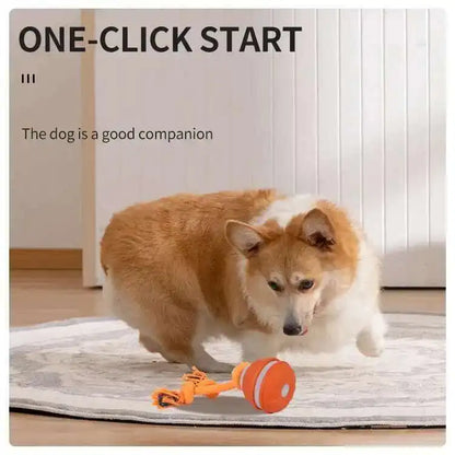 Smart Dog Toys Interactive Teasing Ball Motion Activated
