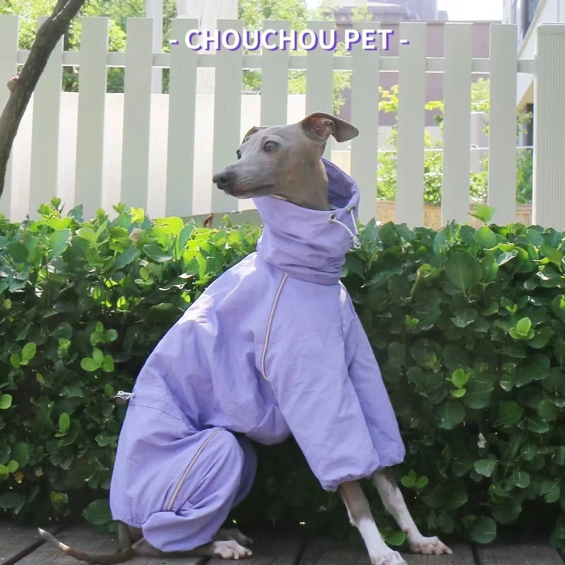 Italian Greyhound Raincoat Autumn and Winter Outdoor Pet Jacket Whippet Windproof and Rainproof Dog Clothes