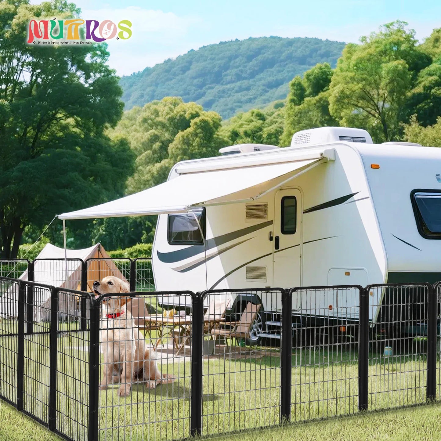 Dog Playpen with Door, Outdoor/Indoor Foldable door