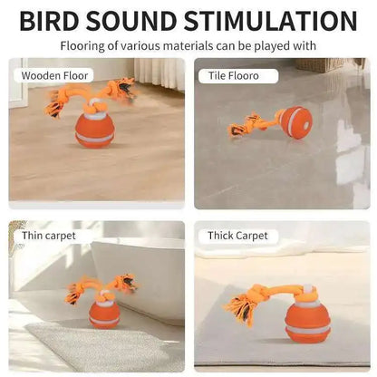 Smart Dog Toys Interactive Teasing Ball Motion Activated